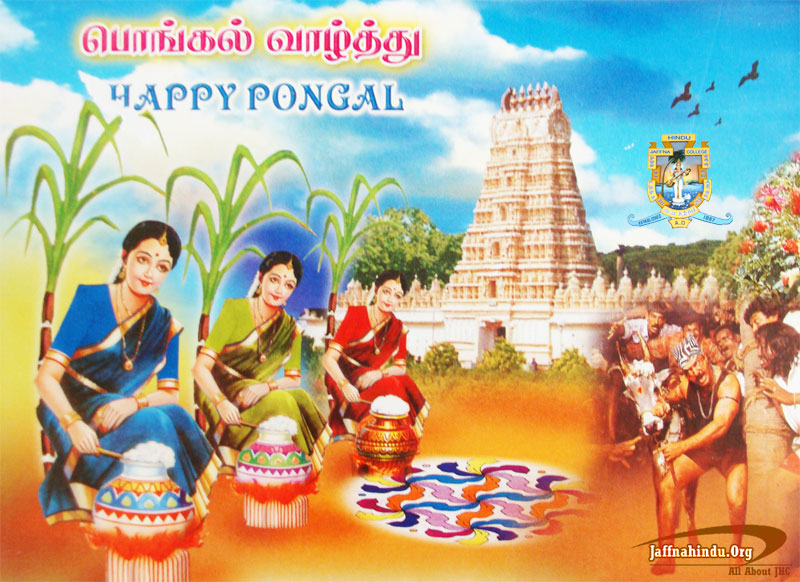 thai pongal date 2014